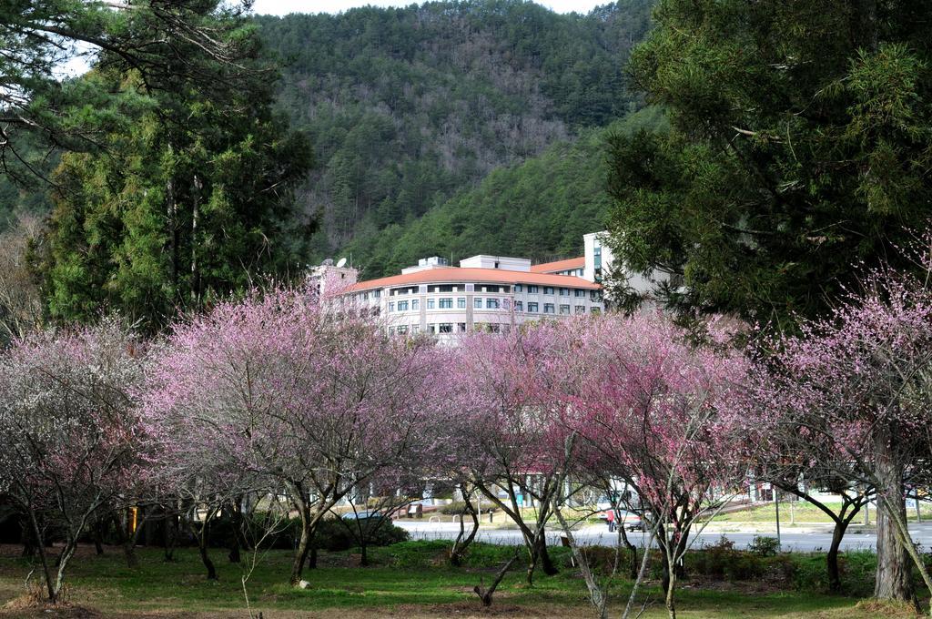 Hoya Resort, Wuling Hòa Bình Ngoại thất bức ảnh